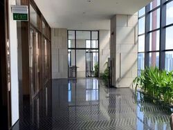 The Ritz-Carlton  (D9), Condominium #537148881